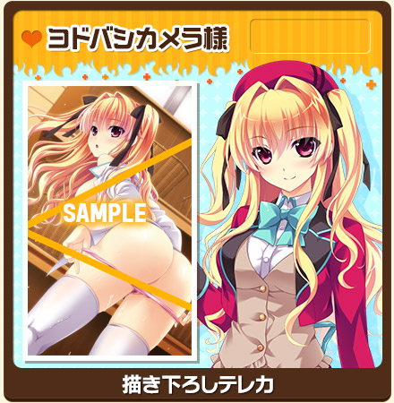 ヨドバシカメラ様